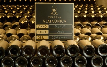 Vinhos tintos 1