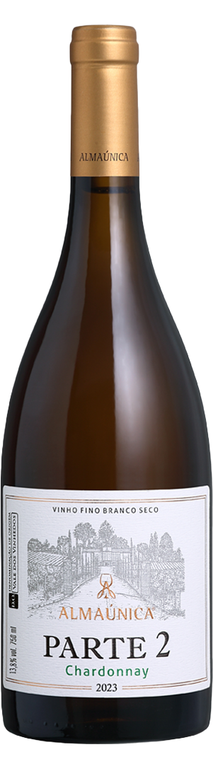 Parte 2 Chardonnay